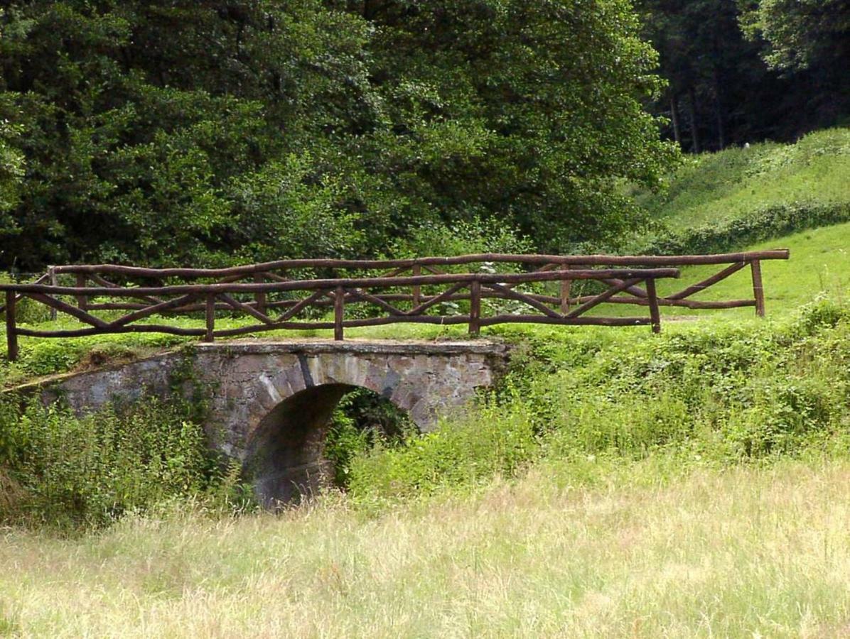 Schönblick - gemütlich übernachten! Ober-Hambach Exterior foto