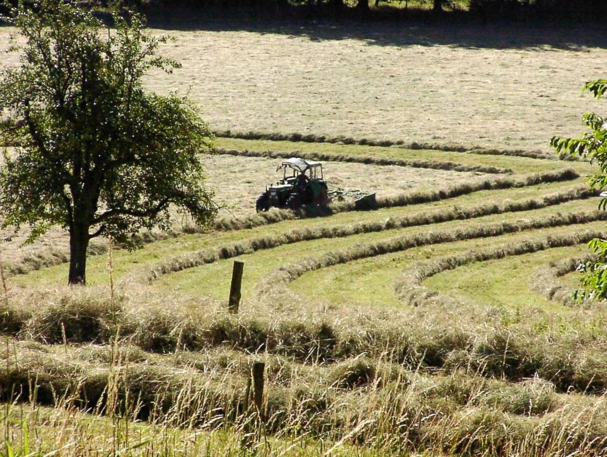 Schönblick - gemütlich übernachten! Ober-Hambach Exterior foto
